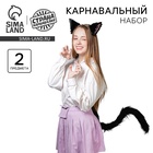 Карнавальный набор «Киса» аниме - Фото 1