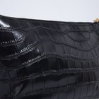 Сумка кросс-боди на молнии, цвет чёрный - фото 25463563