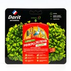 Набор для выращивания микрозелени "Darit", редис, , 4 г - фото 2046633