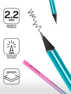 Карандаш чёрнографитный Berlingo "Radiance", HB, трёхгранный, чёрное дерево, заточенный 9328254