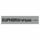 Полоса на лобовое стекло "EUPHORIA", серебро, 1220 х 270 мм - фото 291494738
