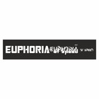 Полоса на лобовое стекло "EUPHORIA", черная, 1220 х 270 мм - фото 291494739