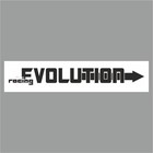 Полоса на лобовое стекло "EVOLUTION", белая, 1220 х 270 мм - фото 291494740