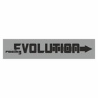 Полоса на лобовое стекло "EVOLUTION", серебро, 1220 х 270 мм - фото 291494741