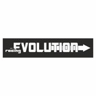Полоса на лобовое стекло "EVOLUTION", черная, 1220 х 270 мм - фото 291494742