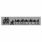 Полоса на лобовое стекло "FAMILY CAR", серебро, 1220 х 270 мм - фото 291494753