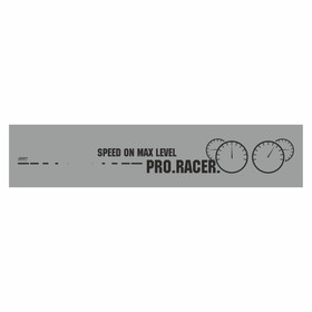 Полоса на лобовое стекло "PRO. RACER", серебро, 1220 х 270 мм