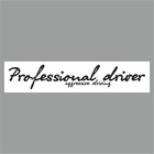 Полоса на лобовое стекло "Professional driverf", белая, 1220 х 270 мм 9341820 - фото 314231381