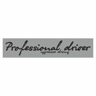 Полоса на лобовое стекло "Professional driverf", серебро, 1220 х 270 мм 9341821 - фото 314231382