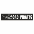 Полоса на лобовое стекло "ROAD PIRATES", черная, 1220 х 270 мм 9341852 - фото 302412351