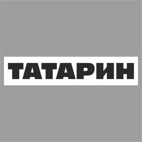 Полоса на лобовое стекло "ТАТАРИН", белая, 1220 х 270 мм