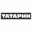 Полоса на лобовое стекло "ТАТАРИН", черная, 1220 х 270 мм - фото 291494925