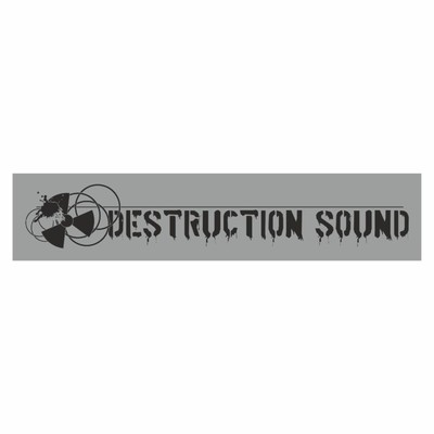 Полоса на лобовое стекло "DESTRUCTION SOUND", серебро, 1300 х 170 мм