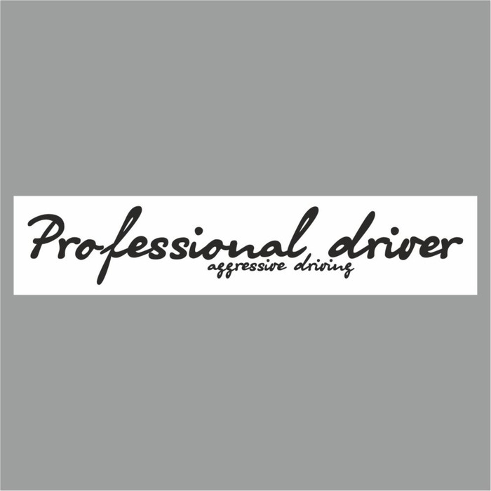 Полоса на лобовое стекло "Professional driverf", белая, 1300 х 170 мм - Фото 1