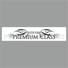 Полоса на лобовое стекло "PREMIUM CLASS", белая, 1600 х 170 мм - фото 291495325