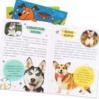 УЦЕНКА Набор 3 в 1 «Лучший друг», 3 книги, пазл, игрушка - Фото 5