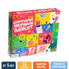 Набор для опытов на 13 дней «Новогодний научный адвент-календарь», 13 опытов, уценка - Фото 1