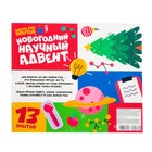 Набор для опытов на 13 дней «Новогодний научный адвент-календарь», 13 опытов, уценка - Фото 8