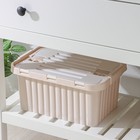 Ящик для хранения со створками «Сплит», 10 л, 25,5×38×17,6 см, цвет молочный - Фото 1