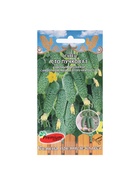 Семена Огурец «Сто пучков», F1, 5 шт., Premium seeds - Фото 5