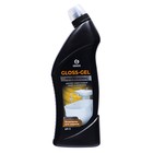 Средство для чистки туалетов Gloss-Gel Professional, 750 мл - фото 10057763