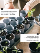 Поддон для рассады, 37×13.5×2.5 см, пластик, серый - Фото 3