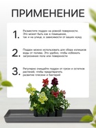 Поддон для рассады, 37×13.5×2.5 см, пластик, серый - Фото 4