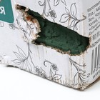 Губка флористическая для живых цветов 22,5 Х 10.5 Х 7 см - Фото 3