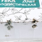 Губка флористическая для живых цветов 22,5 Х 10.5 Х 7 см - Фото 5