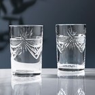Набор стаканов хрустальных «Чайный», d=6.5 см, 250 мл, 2 шт - фото 10058829