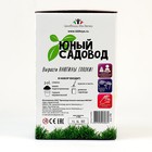 Набор для опытов «Юный садовод: Вырасти анютины глазки» 9318900 - фото 319810897