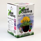 Набор «Юный садовод» «Жёлтые бархатцы» 9318901 - фото 319764973