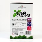 Набор «Юный садовод» «Жёлтые бархатцы» 9318901 - фото 319764974
