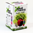 Набор «Юный садовод» «Редис» 9318903 - фото 319742691