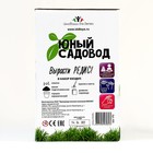 Набор «Юный садовод» «Редис» 9318903 - фото 319742692