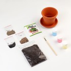 Набор «Юный садовод» «Салатная грядка» - фото 39801943