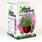 Набор «Юный садовод» «Салатная грядка» - фото 39801944