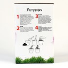 Набор «Юный садовод» «Салатная грядка» - фото 39801946