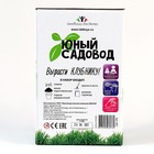 Набор для опытов «Юный садовод: Вырасти клубнику» 9318919 - фото 16204654