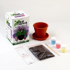 С набором «Юный садовод» «Травяной чай» - фото 10058940