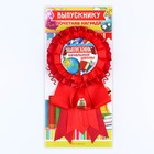 Значок-орден на выпускной «Выпускник начальной школы», d=9 см - Фото 6