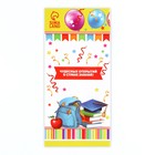 Значок-орден на выпускной «Выпускник начальной школы», d=9 см - Фото 8