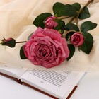 Цветы искусственные "Роза изыск" 10х64 см, пепельно-розовый - фото 8689659