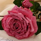 Цветы искусственные "Роза изыск" 10х64 см, пепельно-розовый - Фото 2