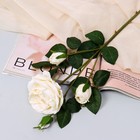 Цветы искусственные "Роза изыск" 10х64 см, белый - фото 320105184