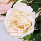 Цветы искусственные "Роза изыск" 10х64 см, белый - Фото 2