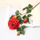 Цветы искусственные "Роза изыск" 10х64 см, красный - фото 7437842