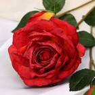Цветы искусственные "Роза изыск" 10х64 см, красный - фото 7437843