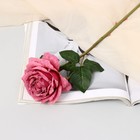 Цветы искусственные "Роза эстетик" 10х49 см, пепельно-розовый - фото 2145451