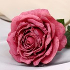 Цветы искусственные "Роза эстетик" 10х49 см, пепельно-розовый - фото 6730227